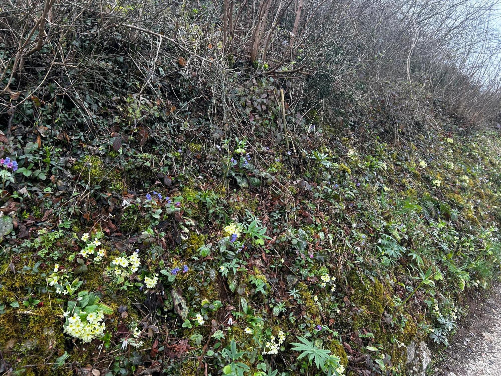 Nuovo B&B Colline San Benedetto Marostica Zewnętrze zdjęcie